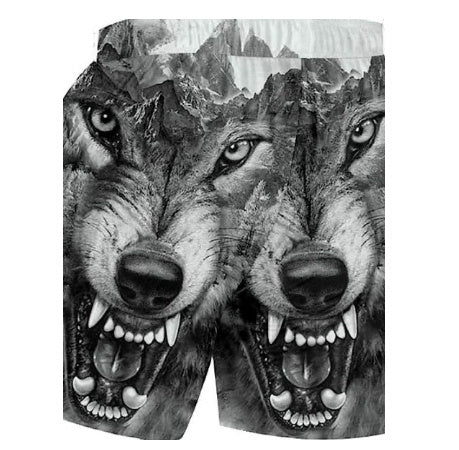 Beach Pants Men's Sports Eagle Pattern Printed Shorts
